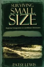 Surviving Small Size States