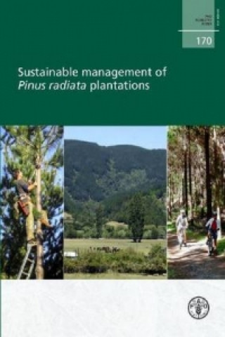 Sustainable Management of Pinus Radiata Plantations