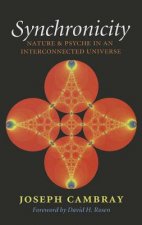 Synchronicity: Nature and Psyche in an Interconnected Universe