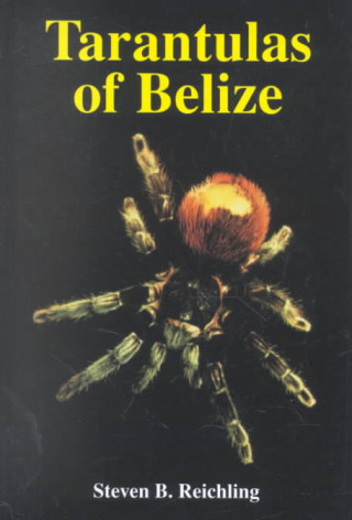 Tarantulas of Belize