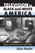 Television in Black-and-white America