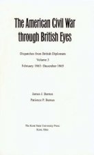 American Civil War Through British Eyes v. 3; February 1863-December 1865