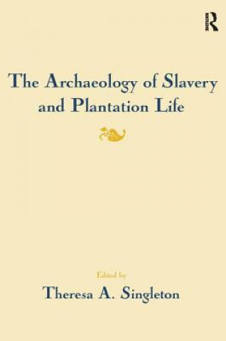 Archaeology of Slavery and Plantation Life