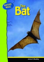 Bat