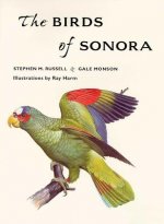 BIRDS OF SONORA