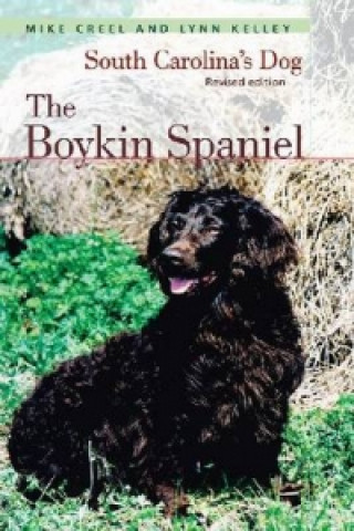 Boykin Spaniel