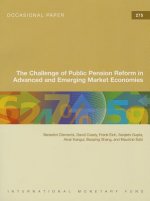 challenge of public pension reform in advanced and emerging economies