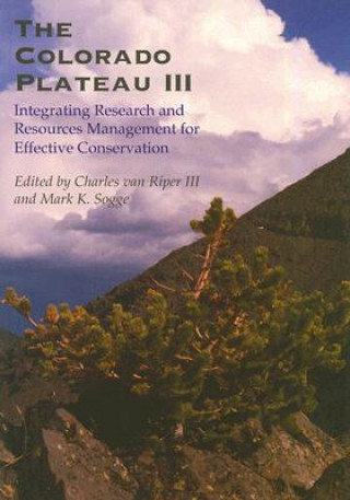 Colorado Plateau III