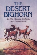 Desert Bighorn