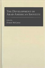 Development of Arab-American Identity
