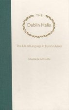 Dublin Helix