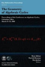 Geometry of Algebraic Cycles