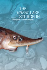 Great Lake Sturgeon