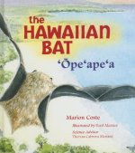 Hawaiian Bat