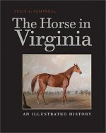 Horse in Virginia