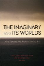 Imaginary and Its Worlds