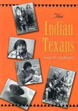 Indian Texans
