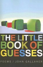 Little Book of Guesses