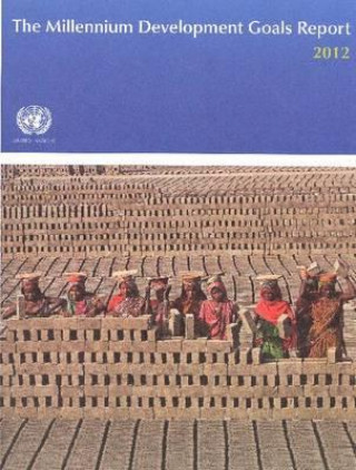 Millennium Development Goals Report