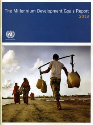 Millennium Development Goals report 2013
