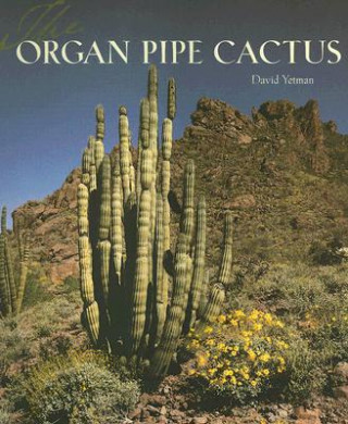 Organ Pipe Cactus