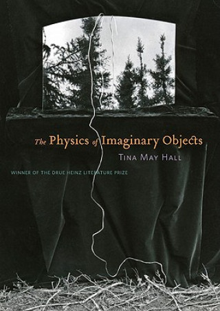 Physics of Imaginary Objects
