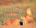 Prairie Dog