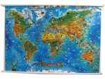 Animals of the World kids flat laminated