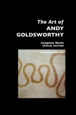 Art of Andy Goldsworthy