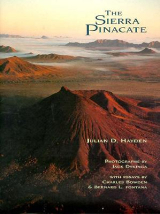 Sierra Pinacate