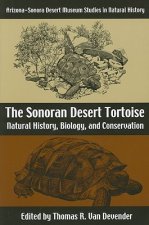 Sonoran Desert Tortoise