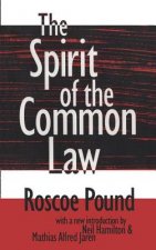 Spirit of the Common Law