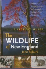 Wildlife of New England