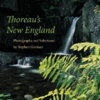 Thoreau's New England