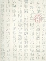 Three Installations by Xu Bing