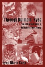 Through Animal's Eyes