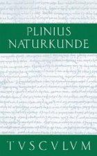 Botanik: Waldbäume