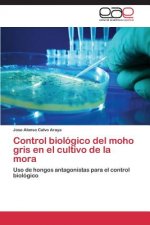 Control biologico del moho gris en el cultivo de la mora