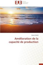 Am lioration de la Capacit  de Production