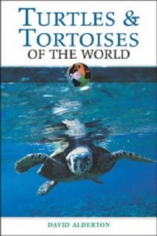 Turtles and Tortoises of the World