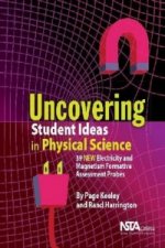 Uncovering Student Ideas in Physical Science, Volume 2