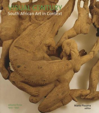 Visual Century: South African Art in Context