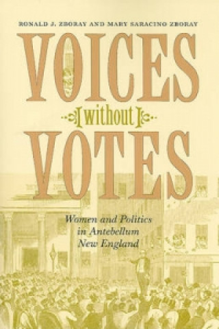 Voices without Votes