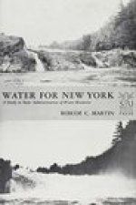 Water for New York