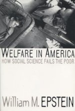 Welfare in America