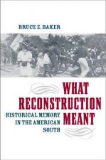 What Reconstruction Meant