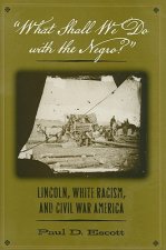 What Shall We Do with the Negro
