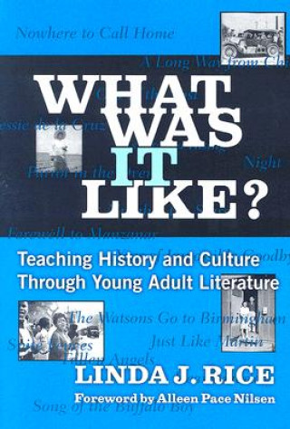 What Was it Like?