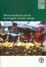 What Woodfuels Can Do to Mitigate Climate Change