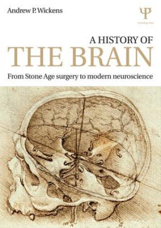 History of the Brain